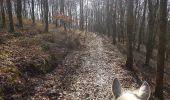 Trail Equestrian Viroinval - Olloy - Oignies - Photo 8