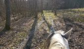 Tocht Paard Viroinval - Olloy - Oignies - Photo 6