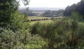 Tocht Stappen Sint-Janskappel - Sentier des Jacinthes - Saint-Jans-Cappel - Photo 3