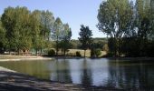 Tocht Stappen Sint-Janskappel - Sentier des Jacinthes - Saint-Jans-Cappel - Photo 2