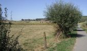 Tocht Stappen Sint-Janskappel - Sentier des Jacinthes - Saint-Jans-Cappel - Photo 1