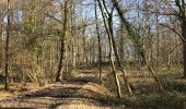 Trail Walking Dour - Blaugies 23 km - Photo 13