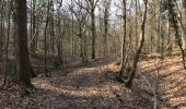 Trail Walking Dour - Blaugies 23 km - Photo 12