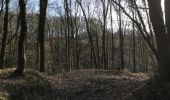 Trail Walking Dour - Blaugies 23 km - Photo 4