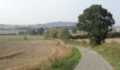 Trail Walking Méteren - Sentier des 4 fils Aymon - Méteren - Photo 2