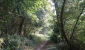 Trail Walking Méteren - Sentier des 4 fils Aymon - Méteren - Photo 6