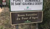 Tour Wandern Saint-Guilhem-le-Désert - le roc de Lavigne  - Photo 5