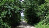Trail Walking Nettancourt - La boucle des Boudières - Nettancourt - Photo 3