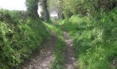 Percorso Marcia Saint-Vigor-des-Monts - Circuit de Saint Vigor des Monts - C9 II - Photo 2