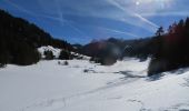 Randonnée Raquettes à neige Châtel - Randonnée entre la France et la suisse  - Photo 2