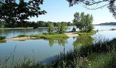 Excursión Bicicleta Bouchemaine - La Loire à Vélo - entre Bouchemaine et Savennières - Photo 3