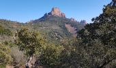 Excursión Senderismo Saint-Raphaël - les balcons de l'Esterel by Phiphidechagny - Photo 6