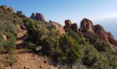 Percorso Marcia Saint-Raphaël - les balcons de l'Esterel by Phiphidechagny - Photo 4