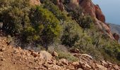 Trail Walking Saint-Raphaël - les balcons de l'Esterel by Phiphidechagny - Photo 3