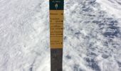 Randonnée Raquettes à neige Saint-Agnan-en-Vercors - tête du faisan - Photo 6