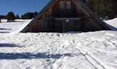 Randonnée Raquettes à neige Saint-Agnan-en-Vercors - tête du faisan - Photo 3
