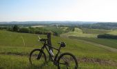 Trail Mountain bike Vitrimont - Circuit des 4 vents - Vitrimont - Photo 4