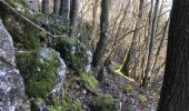 Trail Walking Yvoir - mont godinne Meuse Bauge 17,7 km - Photo 11