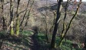 Trail Walking Yvoir - mont godinne Meuse Bauge 17,7 km - Photo 5