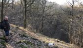 Trail Walking Yvoir - mont godinne Meuse Bauge 17,7 km - Photo 4