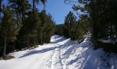 Tour Schneeschuhwandern Sainte-Léocadie - Le Puig d'Estaques en raquettes - Photo 1