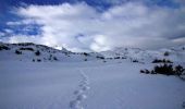 Trail Snowshoes Arrens-Marsous - Le Turon d'Ompré en raquettes - Photo 1