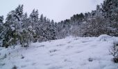 Excursión Raquetas de nieve Bagnères-de-Luchon - L'Hospice de France en raquettes - Photo 1