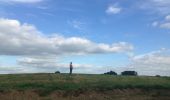 Tour Wandern Zwartewaterland - zuiderzeepolder Genemuiden - Photo 4