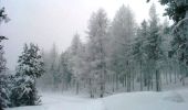 Tocht Sneeuwschoenen Ayguatébia-Talau - Coll de la Llosa - Forêt de Clavera - La Llagonne - Photo 1