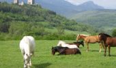 Percorso Cavallo Puivert - Le chemin de la Dame Blanche ou la légende du lac - Puivert - Photo 3