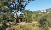 Tocht Stappen Roquebrune-sur-Argens - Sainte maxime la garonnette - Photo 2