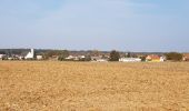 Tour Wandern Lauterburg - Lauterbourg - Photo 14