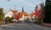 Excursión Senderismo Lauterbourg - Lauterbourg - Photo 18