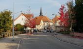 Excursión Senderismo Lauterbourg - Lauterbourg - Photo 19