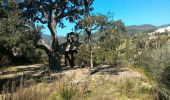 Trail Walking Roquebrune-sur-Argens - la Garonnette - Photo 2