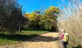 Trail Walking Roquebrune-sur-Argens - la Garonnette - Photo 1