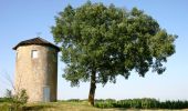 Randonnée Cheval Xaintrailles - De Xaintrailles à Pompiey, lectures de paysage - Pays d'Albret - Photo 1