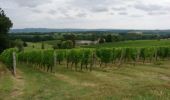 Randonnée V.T.T. Lavardac - La Randonnée des bastides et châteaux en Albret - Pays d'Albret - Photo 2