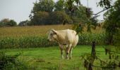 Tour Wandern Nérac - Puy-Fort-Eguille, sur les coteaux de Baïse - Pays d'Albret - Photo 1