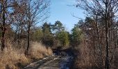 Trail Walking Hotton - melreux, biron, petit-han, fronville - Photo 15