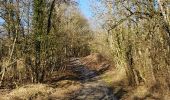 Trail Walking Hotton - melreux, biron, petit-han, fronville - Photo 12