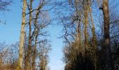 Trail Walking Hotton - melreux, biron, petit-han, fronville - Photo 10