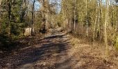 Trail Walking Hotton - melreux, biron, petit-han, fronville - Photo 9