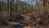 Trail Walking Hotton - melreux, biron, petit-han, fronville - Photo 6