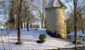 Tocht Stappen Coursan-en-Othe - Circuit du Coursannais - Coursan-en-Othe - Photo 3