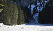 Randonnée Raquettes à neige Bellevaux - Lac de Pététoz - Photo 1