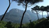 Tocht Fiets Gréoux-les-Bains - Le tour de la Sainte Victoire - Photo 1