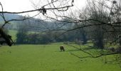 Tour Wandern Feings - Attelage - Forêt et Panoramas - forêt de Réno-Valdieu - Photo 2