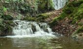Trail Walking Guipry-Messac - L'étang et le bois de Baron - Messac Guipry   - Photo 4