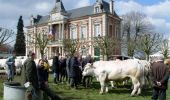 Percorso Cavallo Grand-Bourgtheroulde - Circuit des Potiers - Bourgtheroulde-Infreville - Photo 1